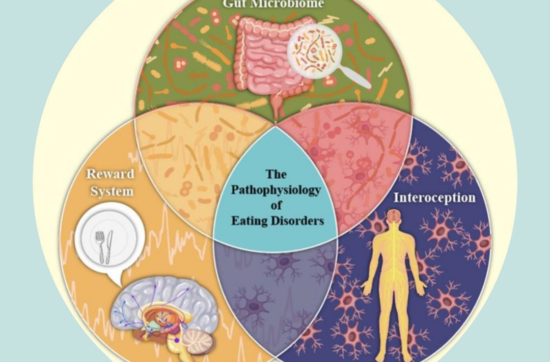A New Framework for Eating Disorders Just Changed How I Think About This Work